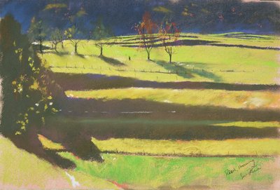 Ochtend in de moerassen (pastel op papier) door Simon Fletcher