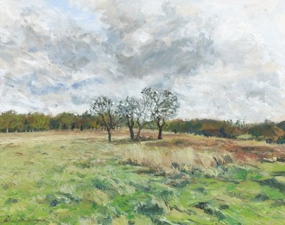 Richmond Park (olieverf op doek) door Simon Neville