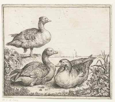 Drie ganzen Verschillende dieren (serie titel) Beesjes van de Vlieger (serie titel) door Simon de Vlieger