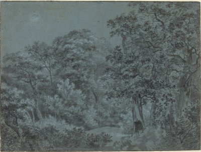 In de Haagse bossen door Simon de Vlieger