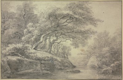 Beek aan de rand van het bos door Simon de Vlieger