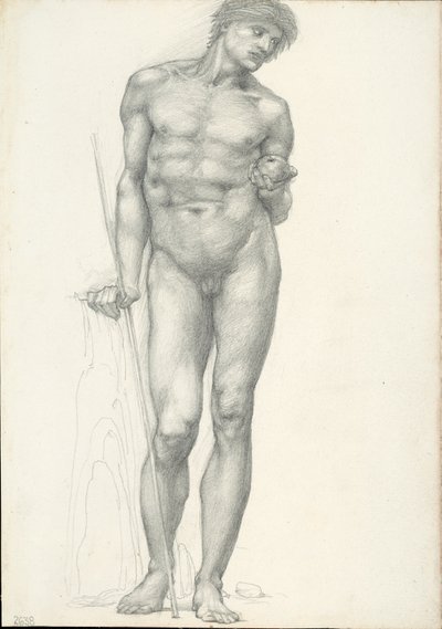 Parijs met gouden appel in linkerhand, voor het Troje drieluik (schetsboek #2638) door Sir Edward Burne Jones