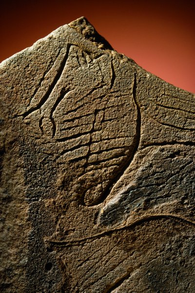 Elegante gravure van een menselijk profiel gevonden op een prehistorische kalksteen cache. door Sisse Brimberg