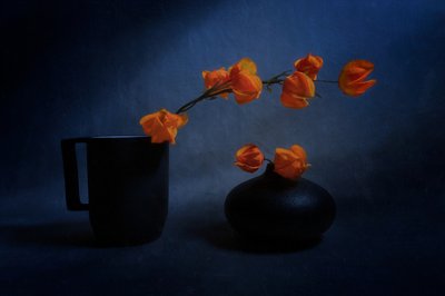 Herfstlantaarn-stilleven door Siyu_Wei APA