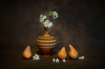 Rustiek stilleven met bloesems door Siyu_Wei APA