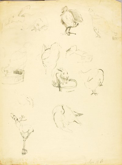 Dierstudies door Solon H. Borglum