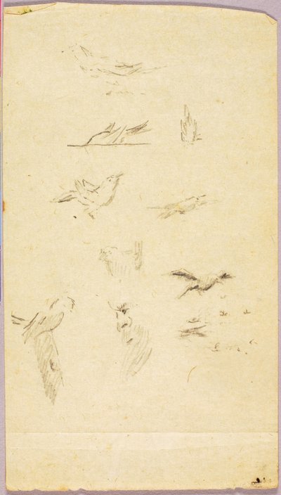 Vogels door Solon H. Borglum