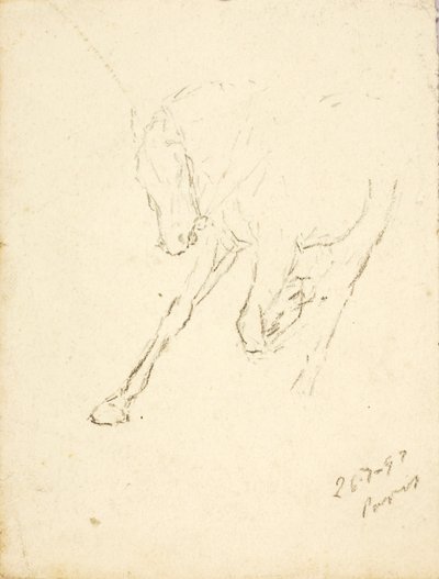 Paard door Solon H. Borglum