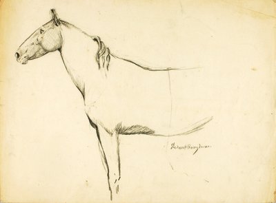 Paard door Solon H. Borglum