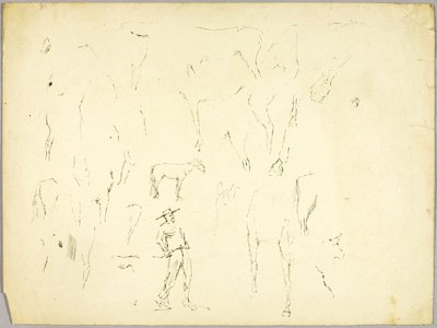 Paard Studie door Solon H. Borglum