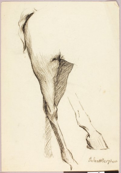 Paard Studie door Solon H. Borglum