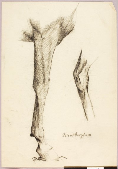 Paard Studie door Solon H. Borglum