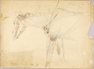 Paard Studie door Solon H. Borglum