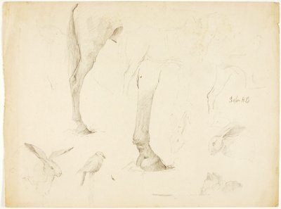 Paardenstudie en konijnen door Solon H. Borglum