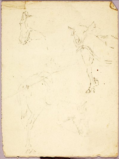 Paarden door Solon H. Borglum