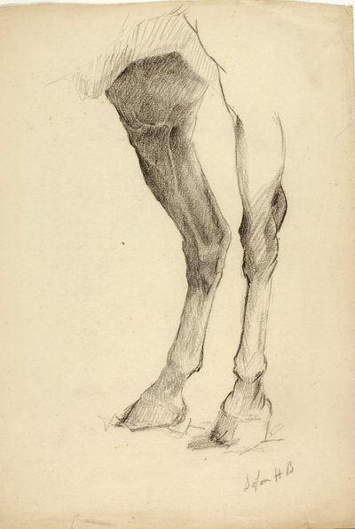 Paardenbeen door Solon H. Borglum