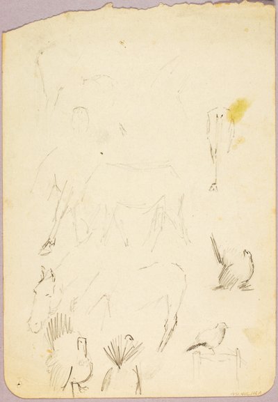 Paarden en kalkoenen door Solon H. Borglum