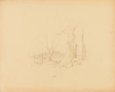 Landschap door Solon H. Borglum