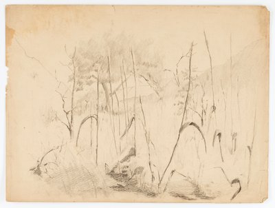 Landschap door Solon H. Borglum