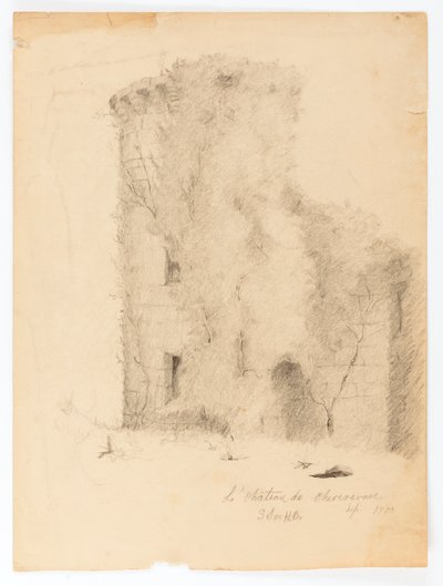 Kasteel van Chevenevase door Solon H. Borglum