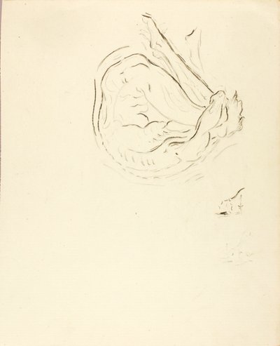 Zwemmer door Solon H. Borglum