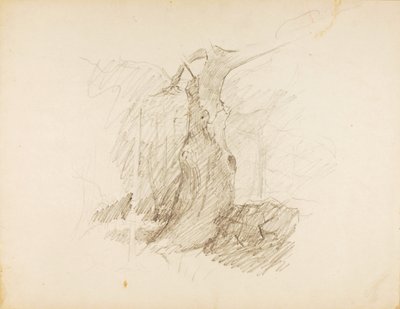 Zonder titel door Solon H. Borglum