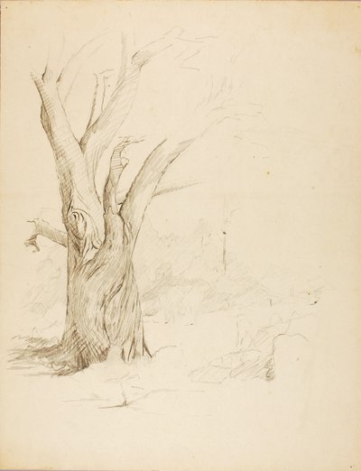 Zonder titel door Solon H. Borglum