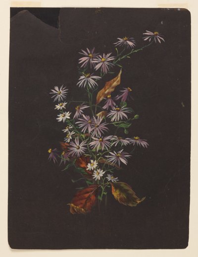 Studie van een Herfstboeket door Sophia L. Crownfield