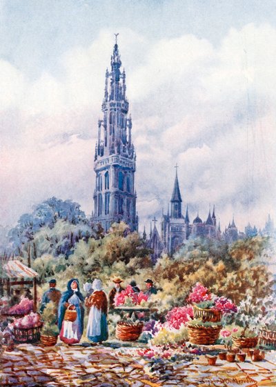 Kathedraal en Place Verte, Antwerpen (kleurenlitho) door Sophie D