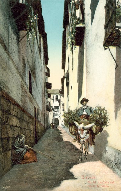 Granada, La Calle Del Horno Del Vidrio, Spanje (kleurenfoto) door Spanish Photographer