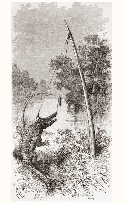 Een alligatorval aan de Oyapock of Oiapoque rivier, die de grens vormt tussen Frans-Guyana en Brazilië door Spanish School