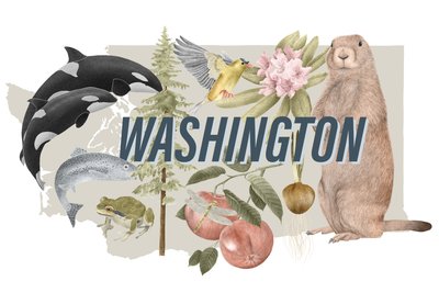 Symbolen van de staat Washington door Stacy Hsu