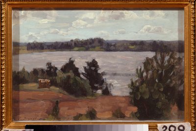 Aan de oever van het meer door Stanislav Joulianovitch Joukovski