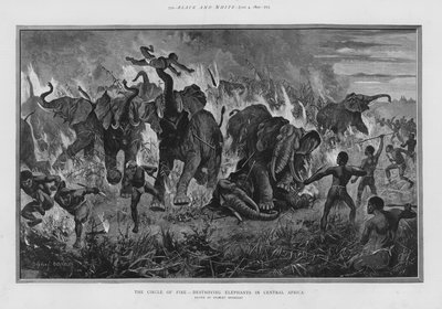 De cirkel van vuur - vernietiging van olifanten in Centraal-Afrika (litho) door Stanley (after) Berkeley