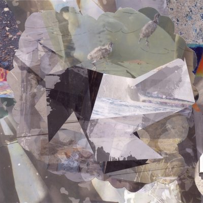 Gelaagde abstracte vogels door Stefan Fransson