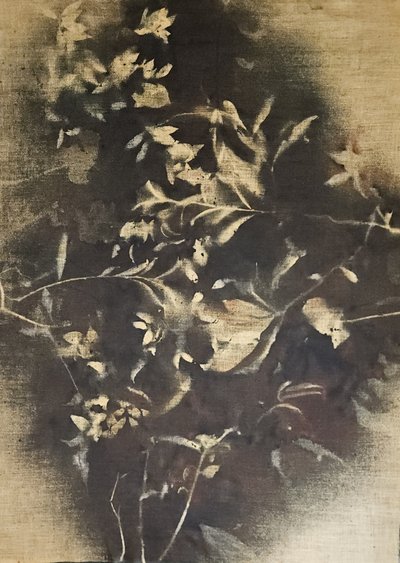 Sfeervolle florale schaduwen door Stefano Mazzolini