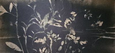 Bloei in de schaduwtuin door Stefano Mazzolini
