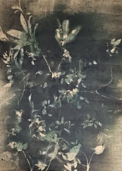 Vintage botanische schaduwen door Stefano Mazzolini