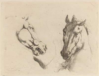Hoofd van een paard gezien in profiel en in driekwart door Stefano della Bella