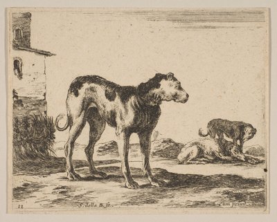 Plaat 11: honden, uit Diverse dieren Diversi animali, ca. 1641 door Stefano della Bella