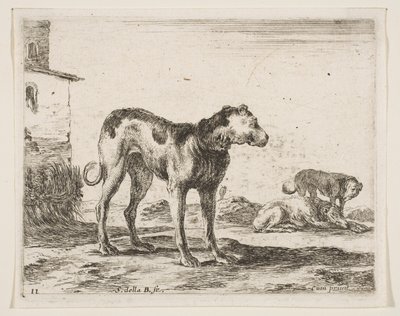 Plaat 11: honden, uit Diverse dieren, ca. 1641 door Stefano della Bella