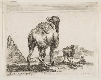 Blad 18: kameel van achteren gezien met piramide links, uit Diverse dieren door Stefano della Bella