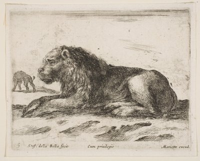 Plaat 5: liggende leeuw, uit Diverse dieren Diversi animali, 1641 door Stefano della Bella