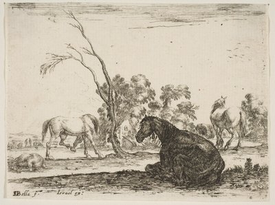 Plaat 8: een zittend paard naar rechts, gezien van achteren en naar links gedraaid, drie andere paarden door Stefano della Bella