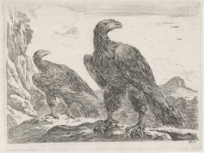 Twee adelaars met koppen naar rechts Adelaars door Stefano della Bella