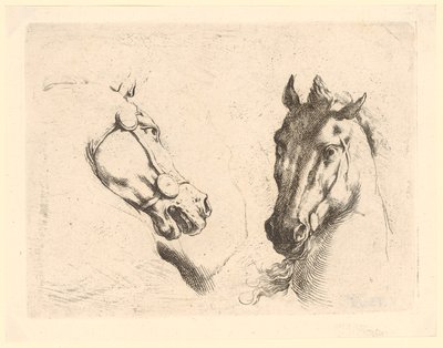 Twee paardenkoppen, blad 1 uit de serie "Diverse dierenkoppen" door Stefano della Bella
