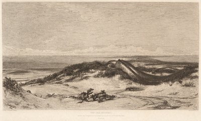 De Zeeslang door Stephen Alonzo Schoff