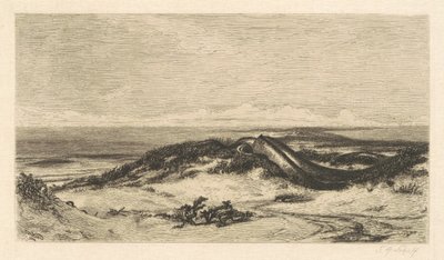 De Zeeslang door Stephen Alonzo Schoff, after Elihu Vedder