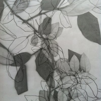 Botanisch, 2014 (digitaal) door Stephen Dow