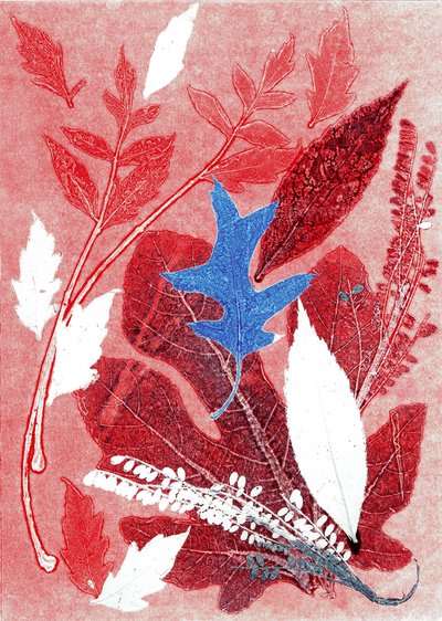Jol III, 2017 (monoprint op papier) door Stephen Dow